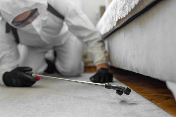 Professional Cockroach Control technician working in Brooklet, GA